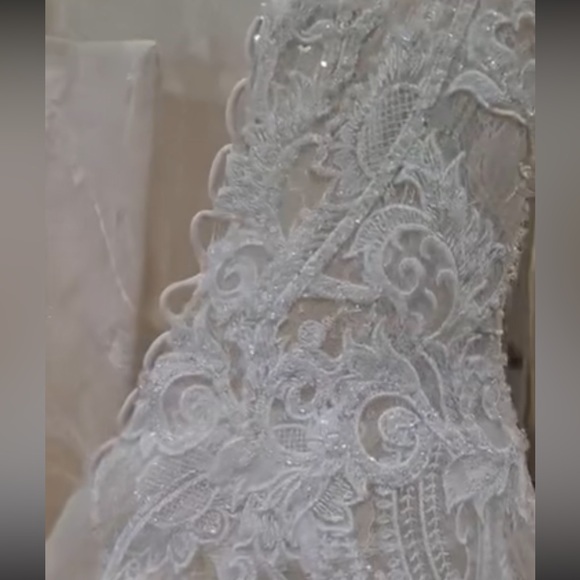 Rosa Clara Martha Blanc Wedding Gown + Veil - Picture 11 of 17